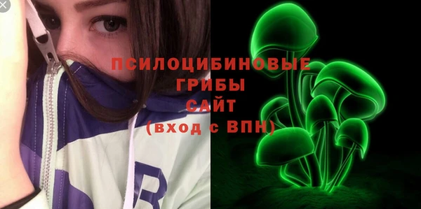 МДПВ Волоколамск