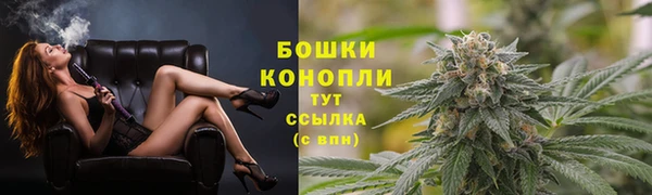 МДПВ Волоколамск