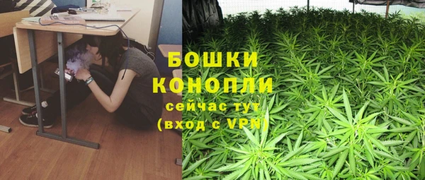 МДПВ Волоколамск