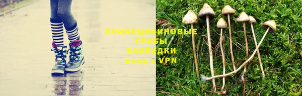 прущая мука Волосово